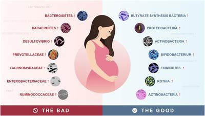 Relationship between gut microbiota and the pathogenesis of gestational diabetes mellitus: a systematic review